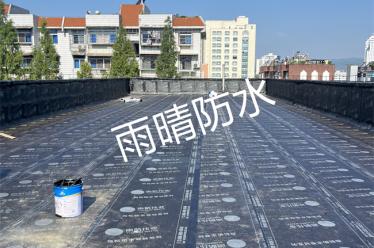 宜昌市葛洲壩中心幼兒園防水施工